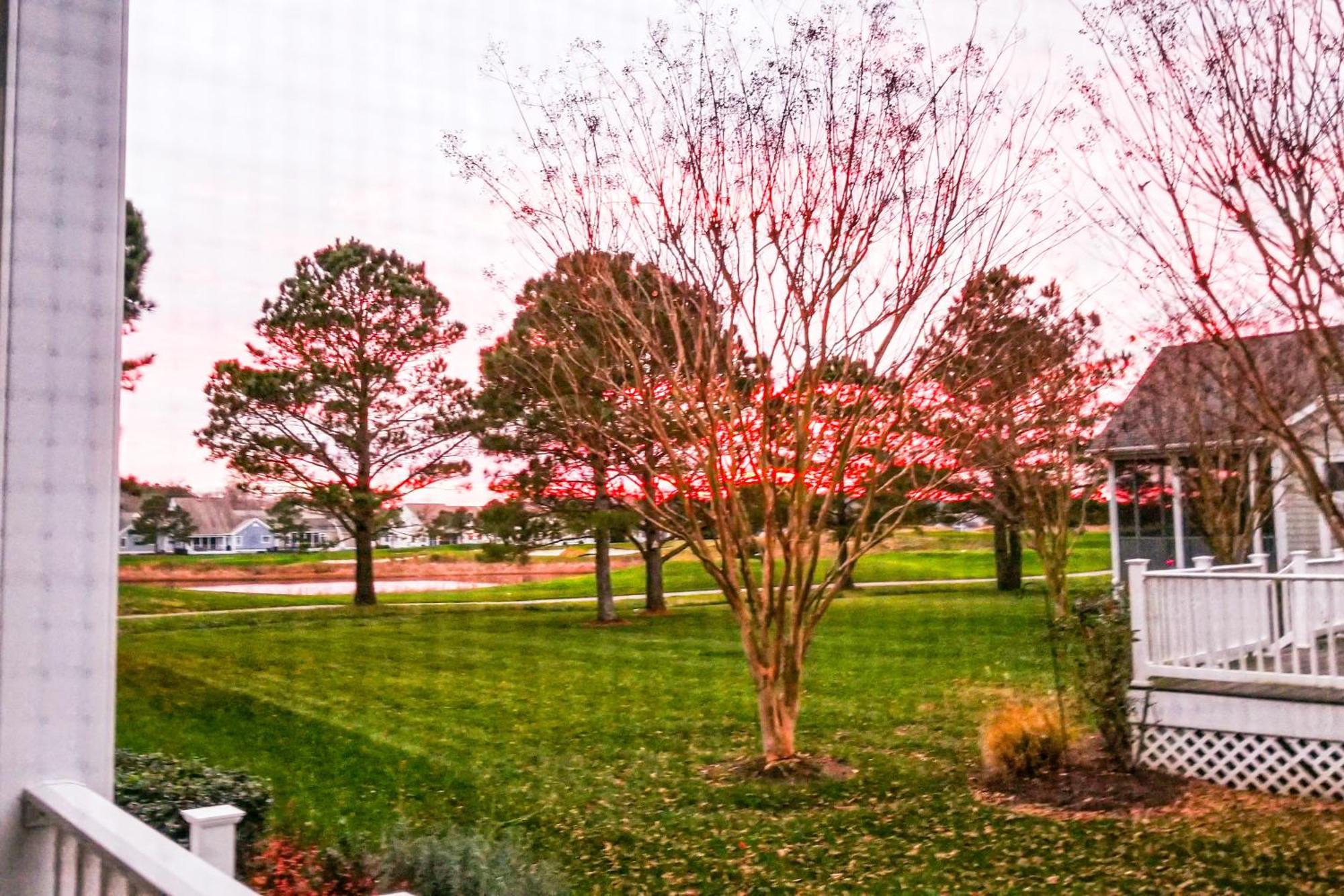 Bear Trap Dunes - Willow Oak Ocean View Room photo